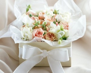 white_rose_flowers-normal5.4