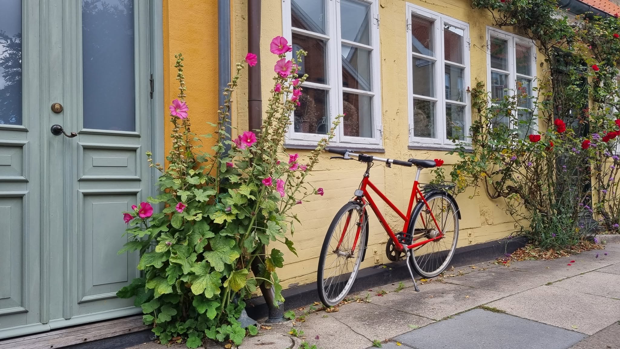Bicicletă roșie lângă o fațadă galbenă, ușă verde și flori în Copenhaga
